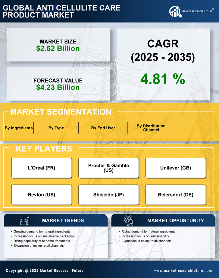 Anti Cellulite Care Product Market Research Report — Global Forecast till 2035 Infographic