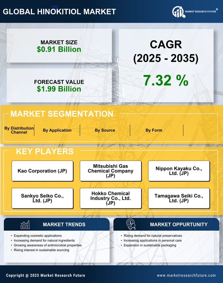 Hinokitiol Market Research Report - Global Forecast by 2035 Infographic
