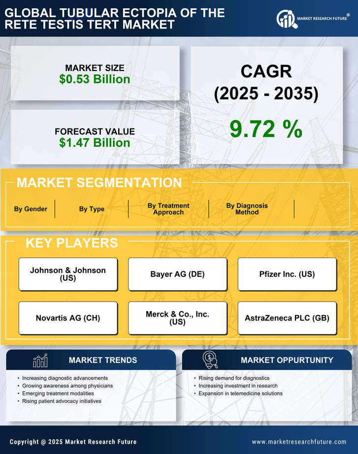 Tubular Ectof The Rete Testis Tert Market Research Report — Global Forecast till 2035 Infographic