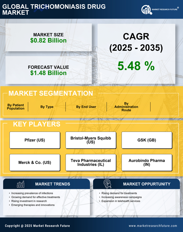 Trichomoniasis Drug Market Research Report — Global Forecast till 2035 Infographic