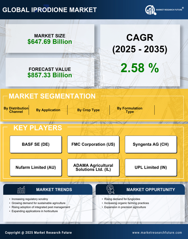 Iprodione Market Research Report - Global Forecast till 2035 Infographic