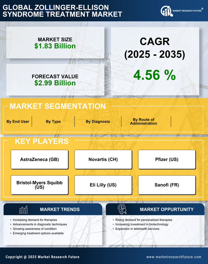 Zollinger Ellison Syndrome Treatment Market Research Report — Global Forecast till 2035 Infographic