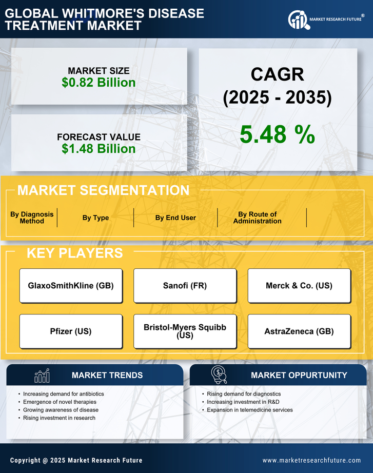 Whitmore’s Disease Treatment Market Research Report — Global Forecast till 2035 Infographic