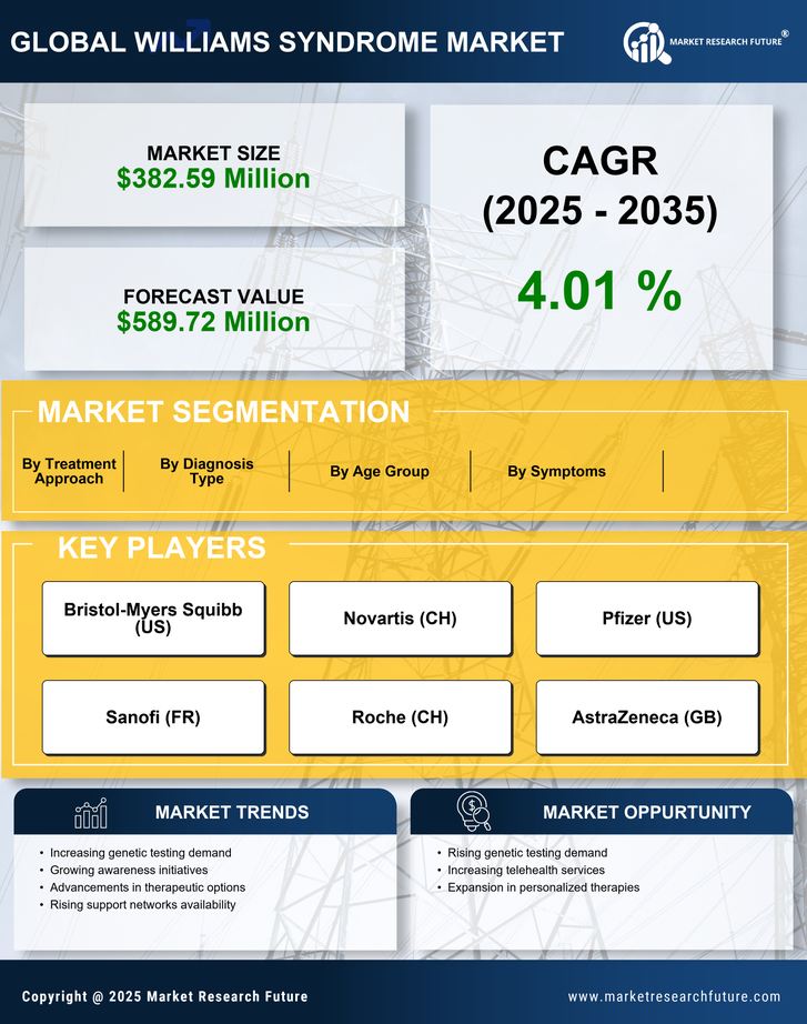 Willams Sundrome Market Research Report — Global Forecast till 2035 Infographic
