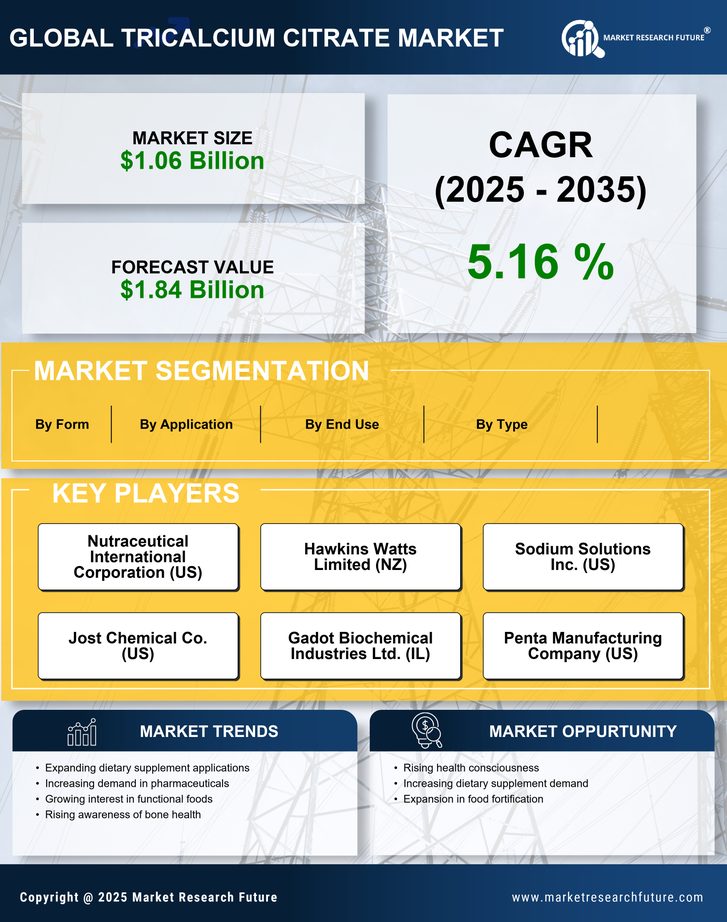 Tricalcium Citrate Market Research Report - Global Forecast by 2035 Infographic