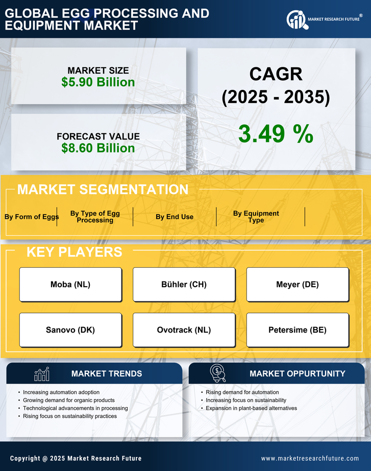 Egg Processing and Equipment Market Research Report- Global Forecast till 2035 Infographic