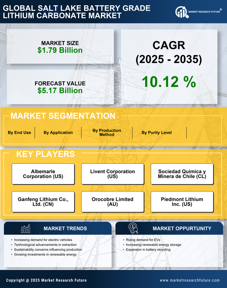 Salt Lake Battery Grade Lithium Carbonate Market Research Report - Global Forecast by 2035 Infographic
