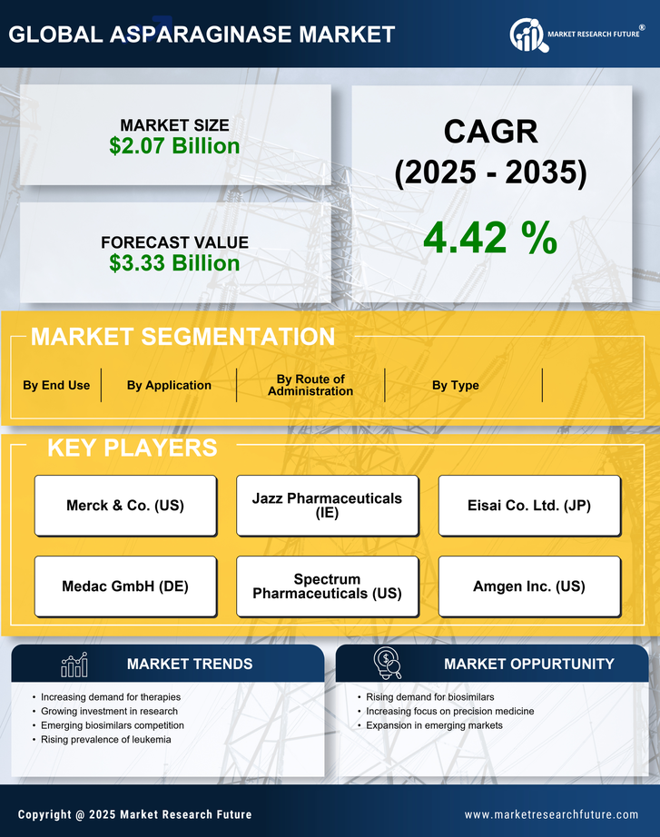 Asparaginase Market Research Report — Global Forecast till 2035 Infographic