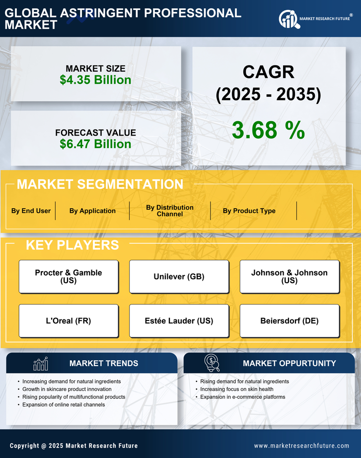 Astringent Professional Market Research Report — Global Forecast till 2035 Infographic