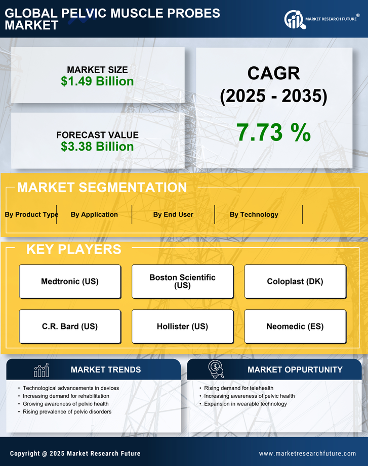Pelvic Muscle Probes Market Infographic