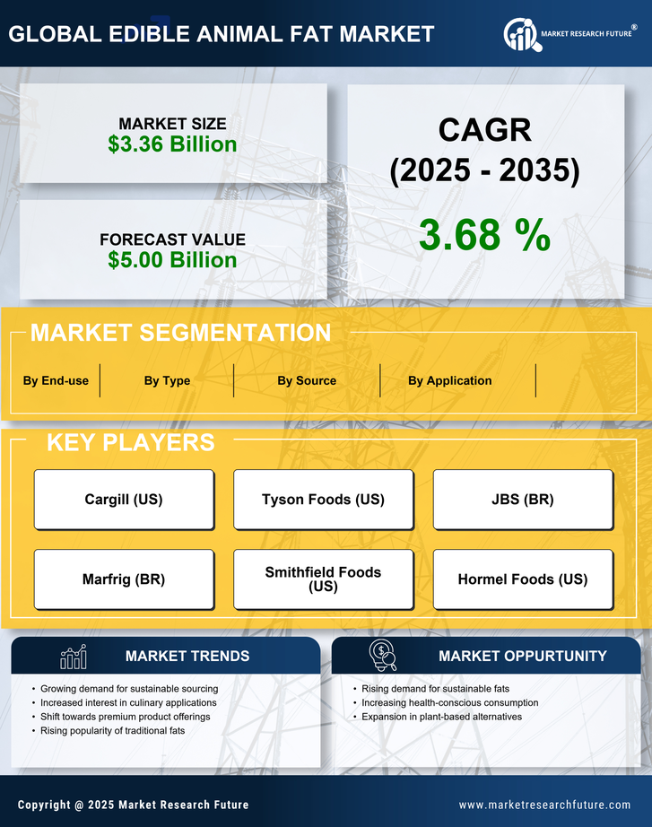 Edible Animal Fat Market Research Report — Forecast till 2035 Infographic