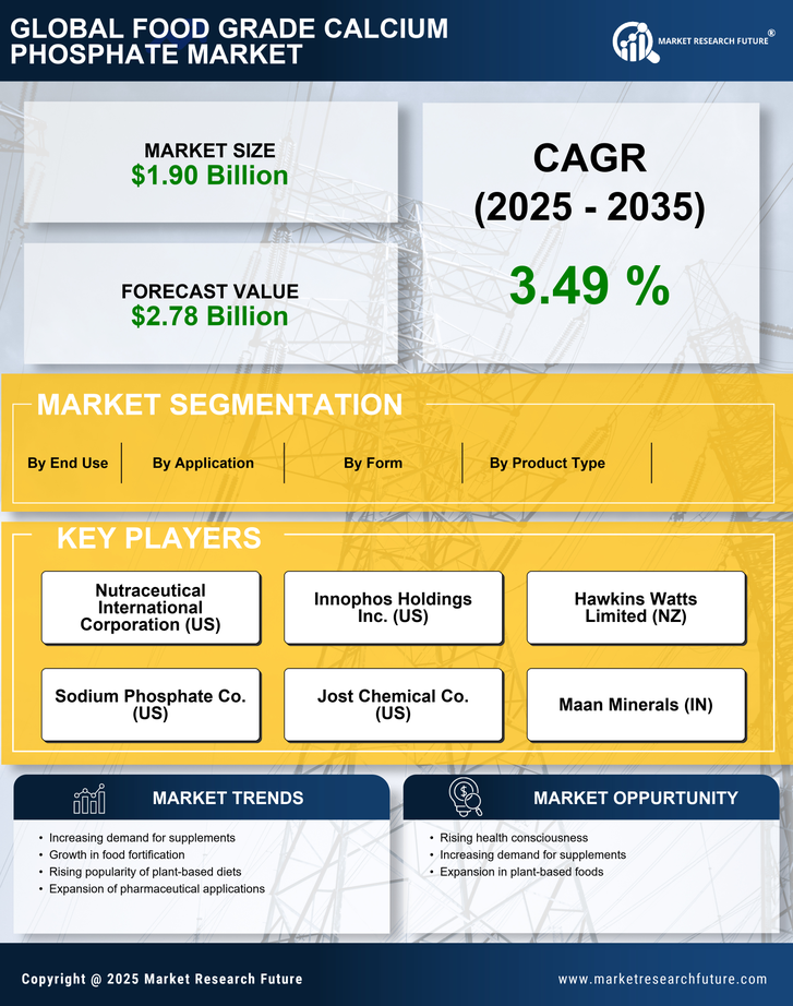 Food Grade Calcium Phosphate Market Research Report — Global Forecast till 2035 Infographic