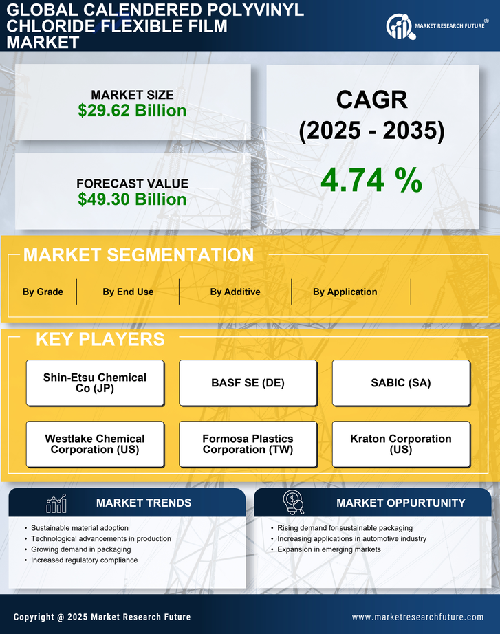 Calendered Polyvinyl Chloride Flexible Film Market Research Report - Global Forecast by 2035 Infographic