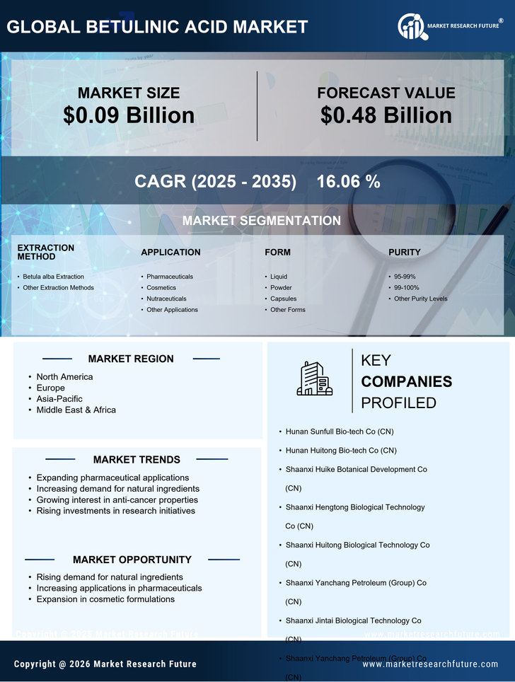 Betulinic Acid Market Research Report- Global Forecast till 2035 Infographic