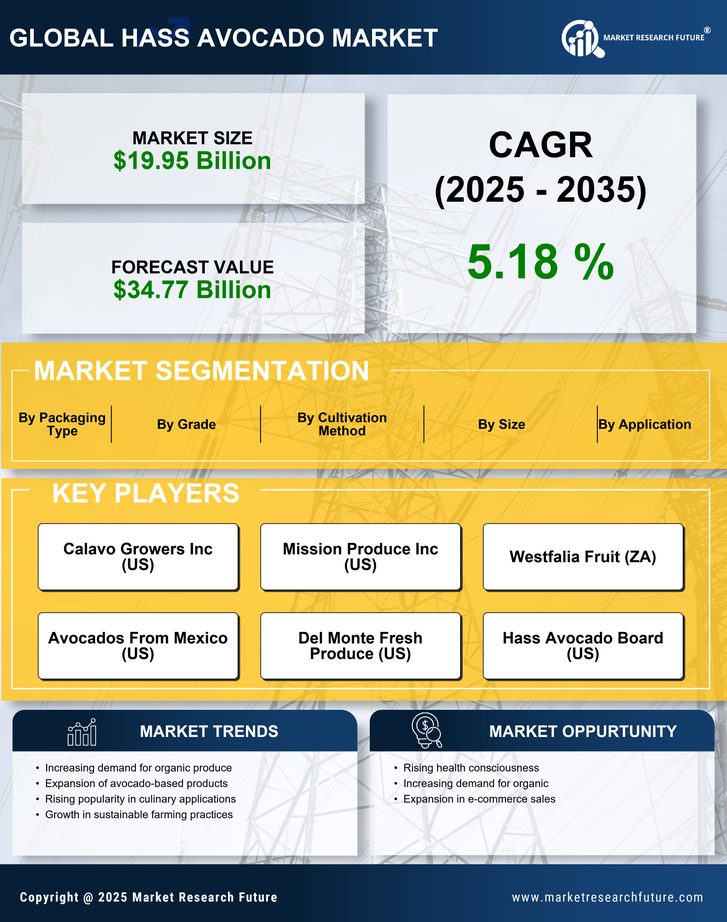 Hass Avocado Market Research Report — Global Forecast till 2035 Infographic