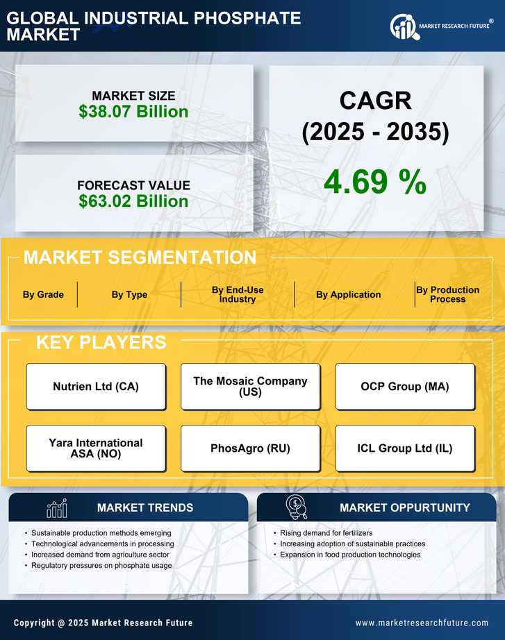 Industrial Phosphate Market Research Report - Global Forecast till 2035 Infographic