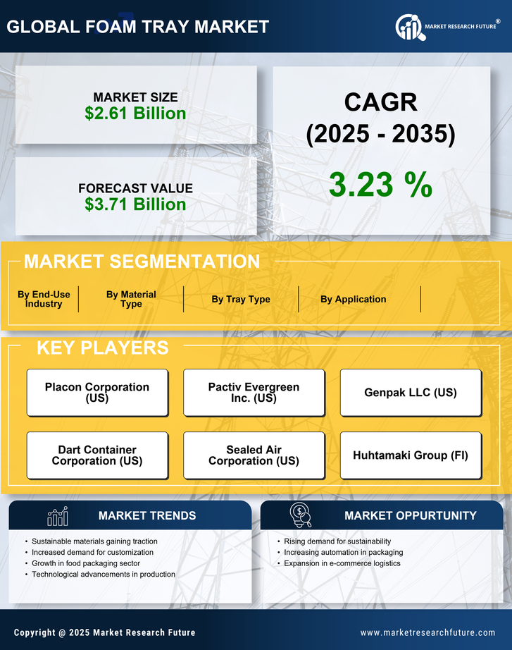 Foam Tray Market Research Report- Global Forecast till 2035 Infographic