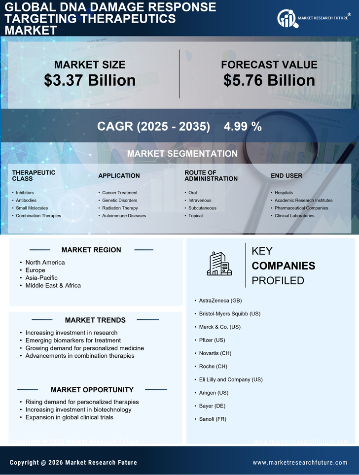 DNA Damage Response Targeting Therapeutics Market Research Report — Global Forecast till 2035 Infographic