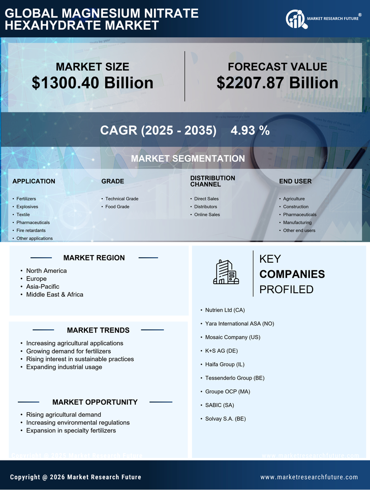 Magnesium Nitrate Hexahydrate Market Research Report - Global Forecast by 2035 Infographic