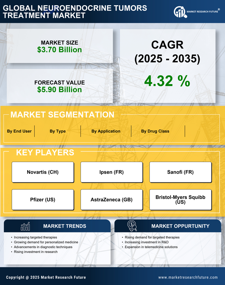 Neuroendocrine Tumors Treatment Market Infographic