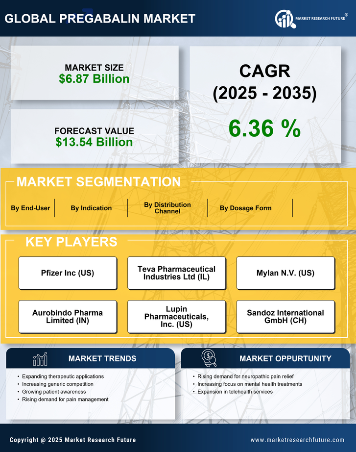 Pregabalin Market Research Report - Forecast 2035 Infographic