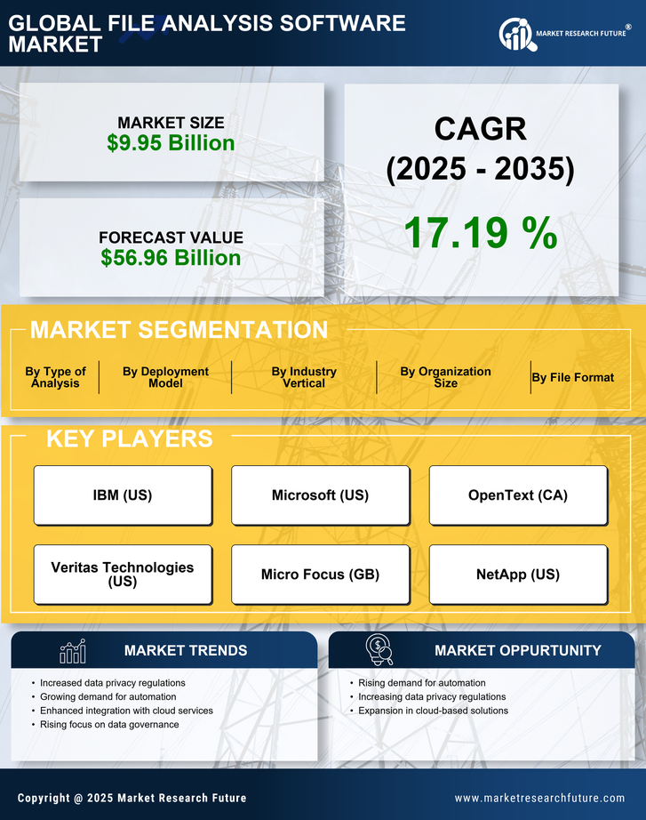 File Analysis Software Market Infographic