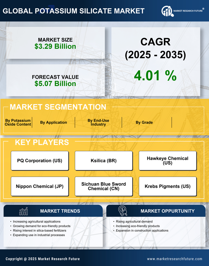 Potassium Silicate Market Research Report - Global Forecast by 2035 Infographic