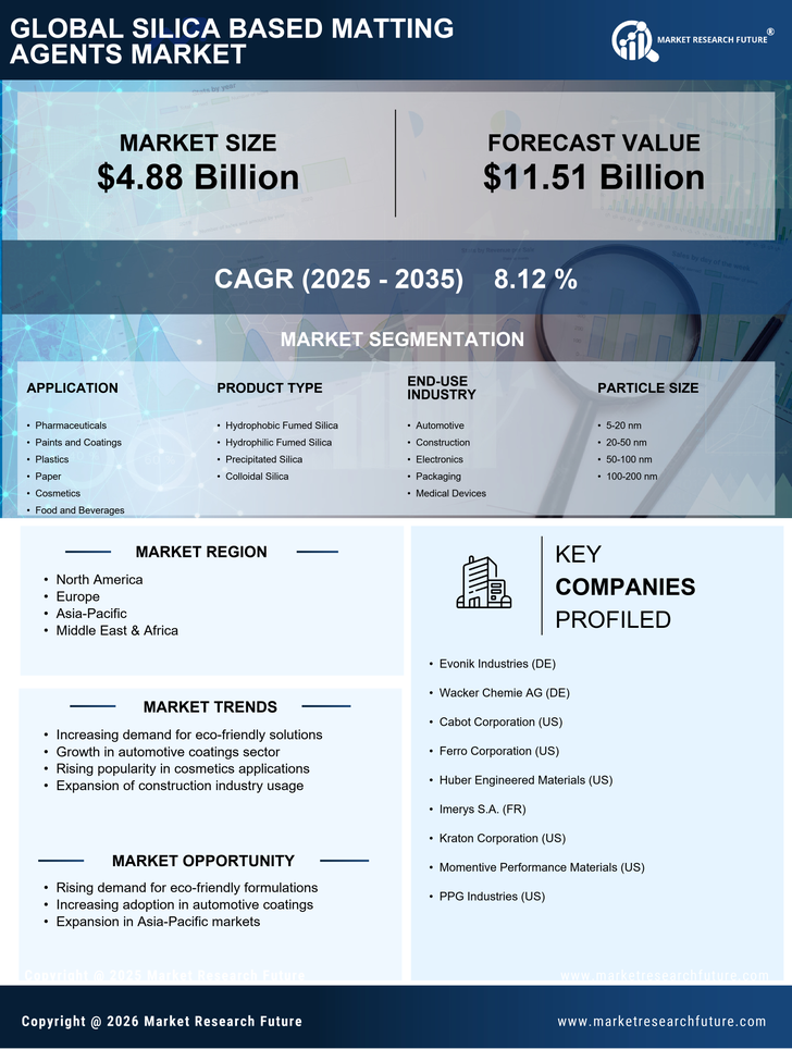 Silica-Based Matting Agents Market Infographic