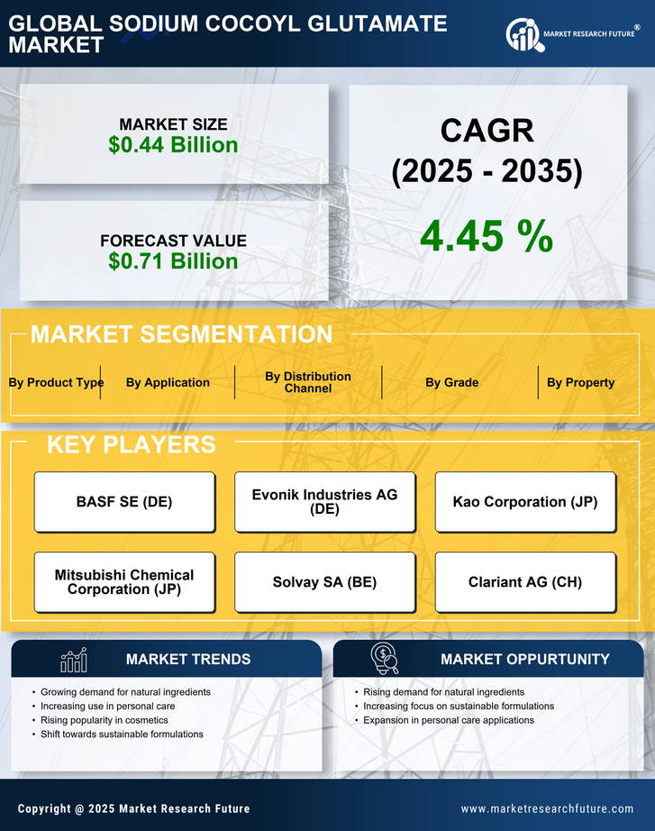 Sodium Cocoyl Glutamate Market Infographic
