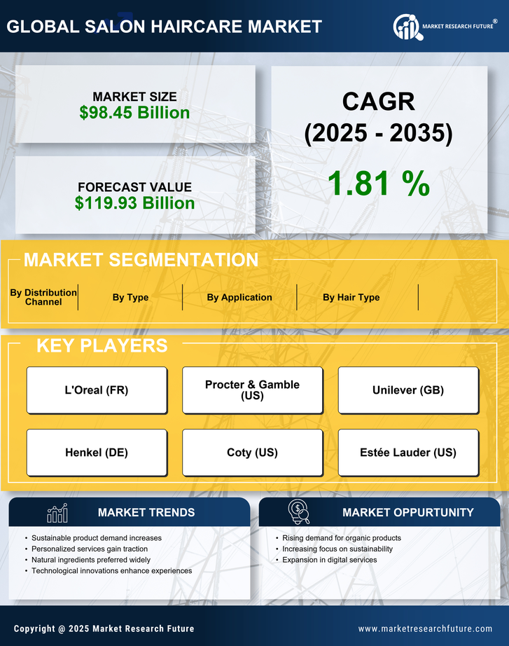 Salon Haircare Market Research Report - Forecast Till 2035 Infographic