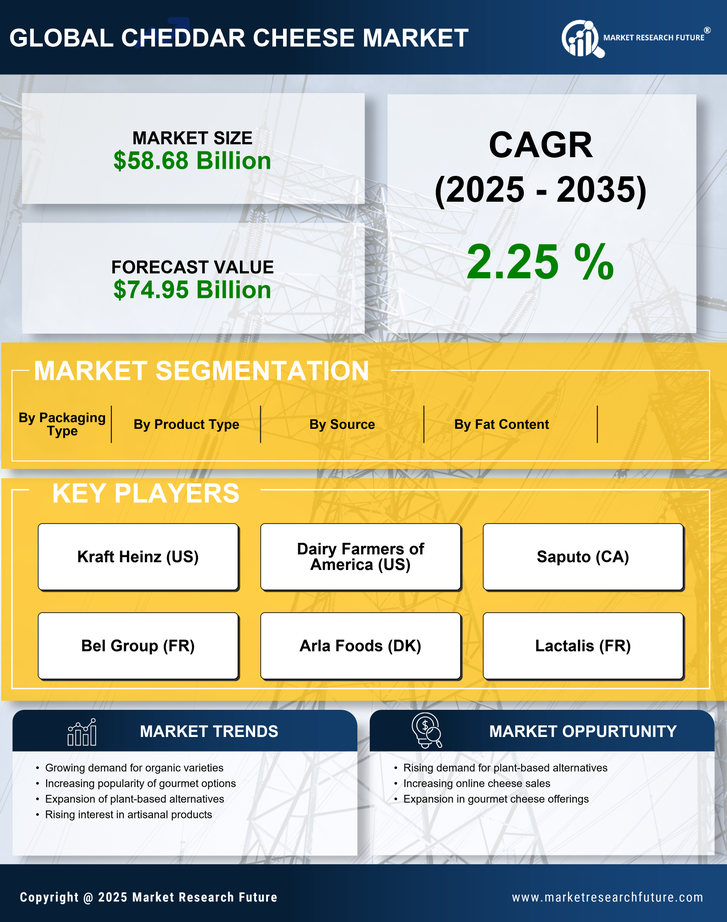 Cheddar Cheese Market Research Report - Forecast Till 2035 Infographic