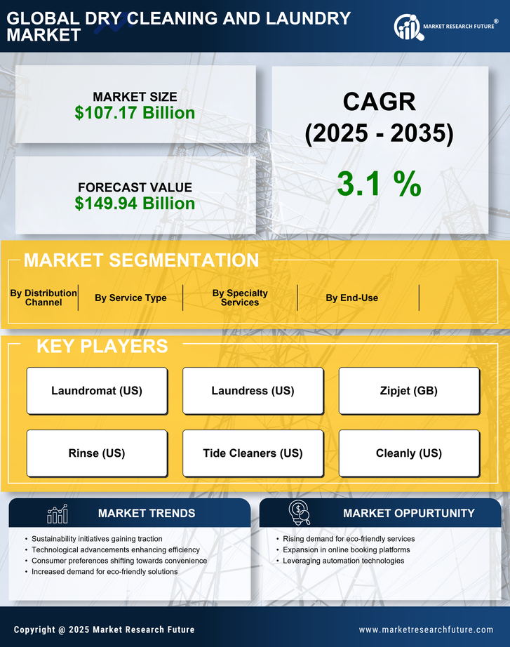 Dry Cleaning And Laundry Market Research Report - Forecast Till 2035 Infographic