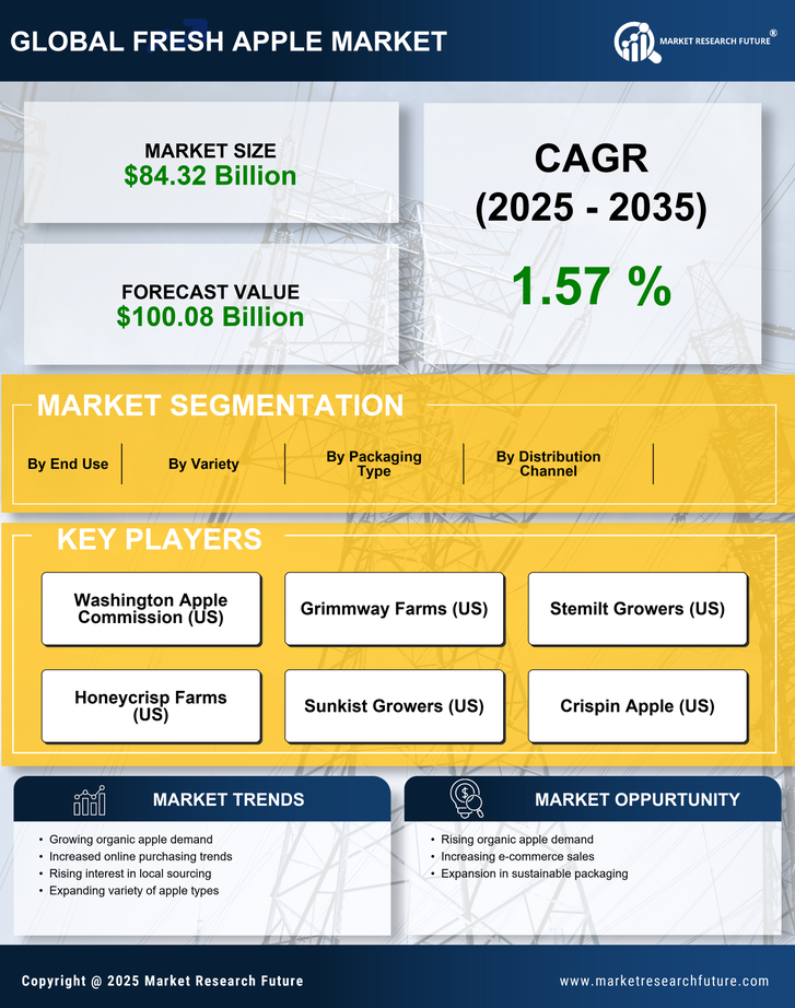 Fresh Apple Market Research Report — Global Forecast till 2035 Infographic
