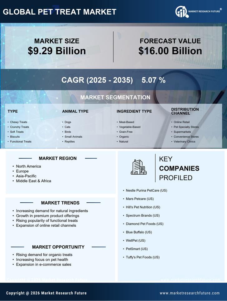 Pet Treat Market Infographic
