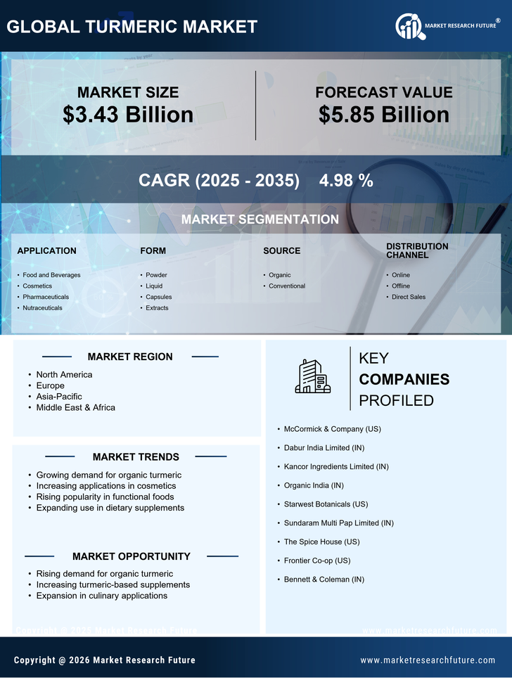 Turmeric Market Research Report Forecast Till 2035 Infographic