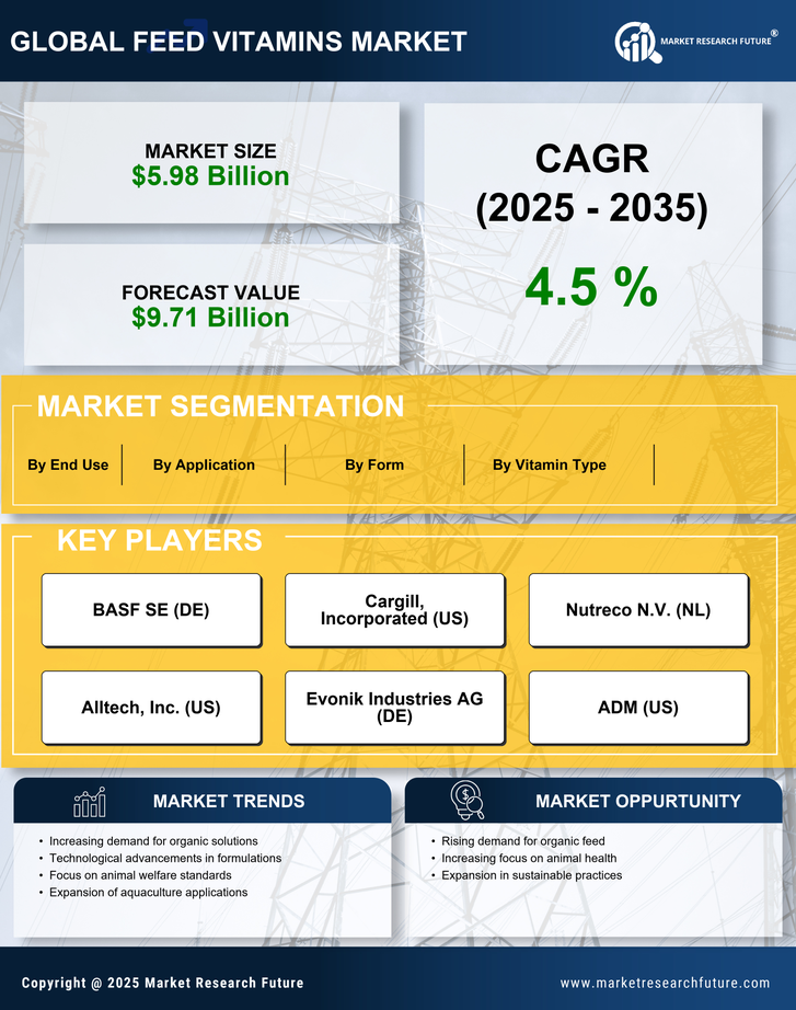 Feed Vitamins Market Infographic