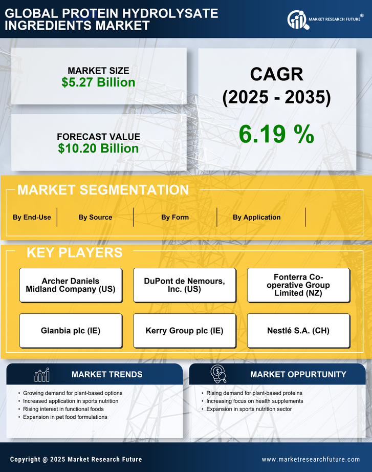Protein Hydrolysate Ingredients Market Research Report — Global Forecast till 2035 Infographic