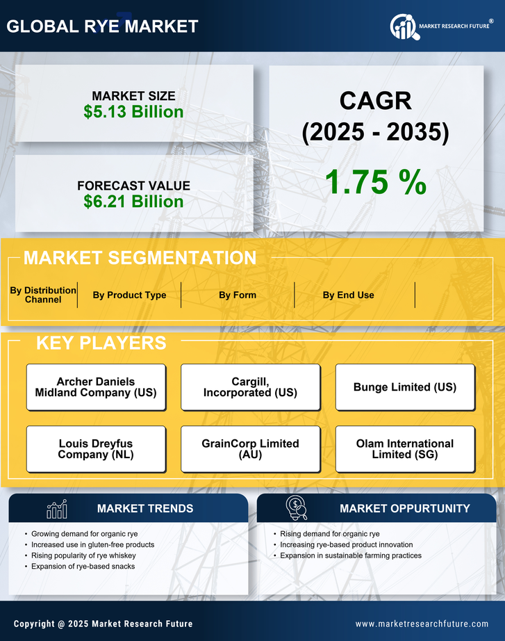 Rye Market Research Report — Global Forecast till 2035 Infographic