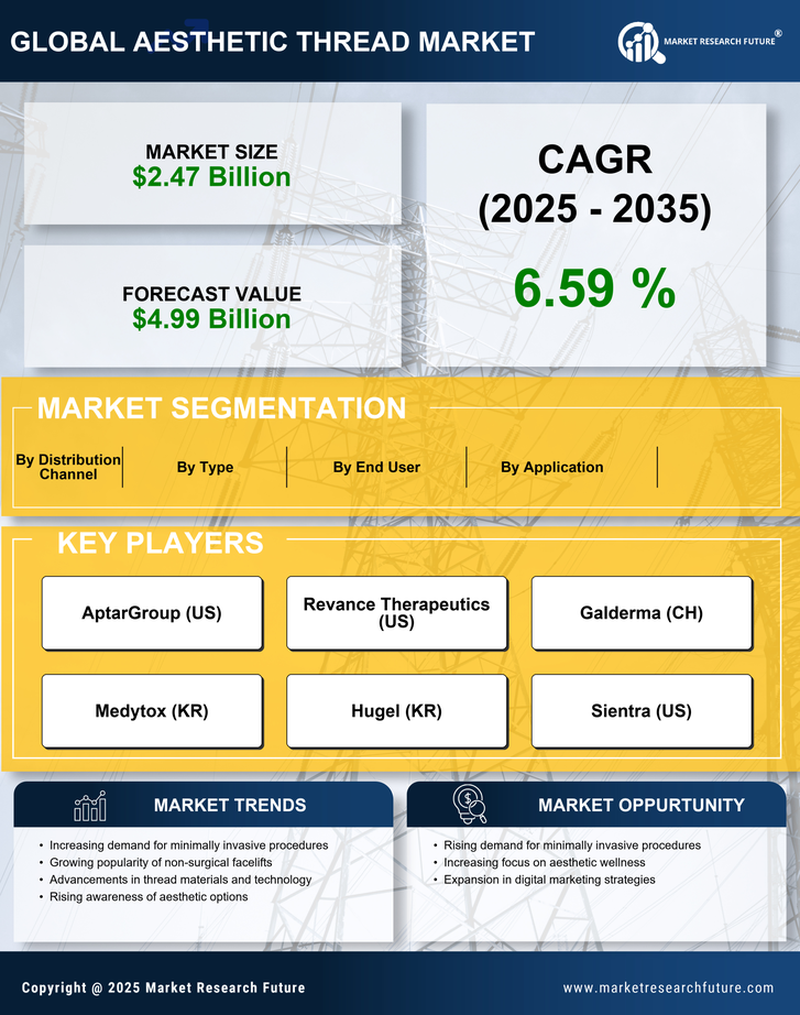 Aesthetic Thread Market Research Report — Global Forecast till 2035 Infographic