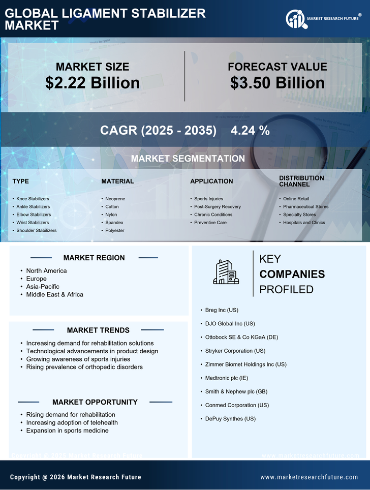 Ligament Stabilizer Market Research Report — Forecast till 2035 Infographic