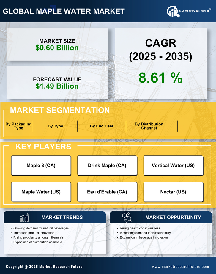 Maple Water Market Research Report — Global Forecast till 2035 Infographic