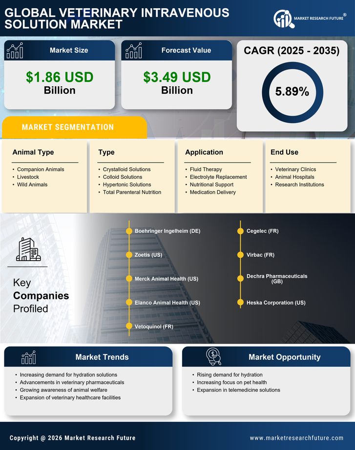Veterinary Intravenous Solution Market Infographic