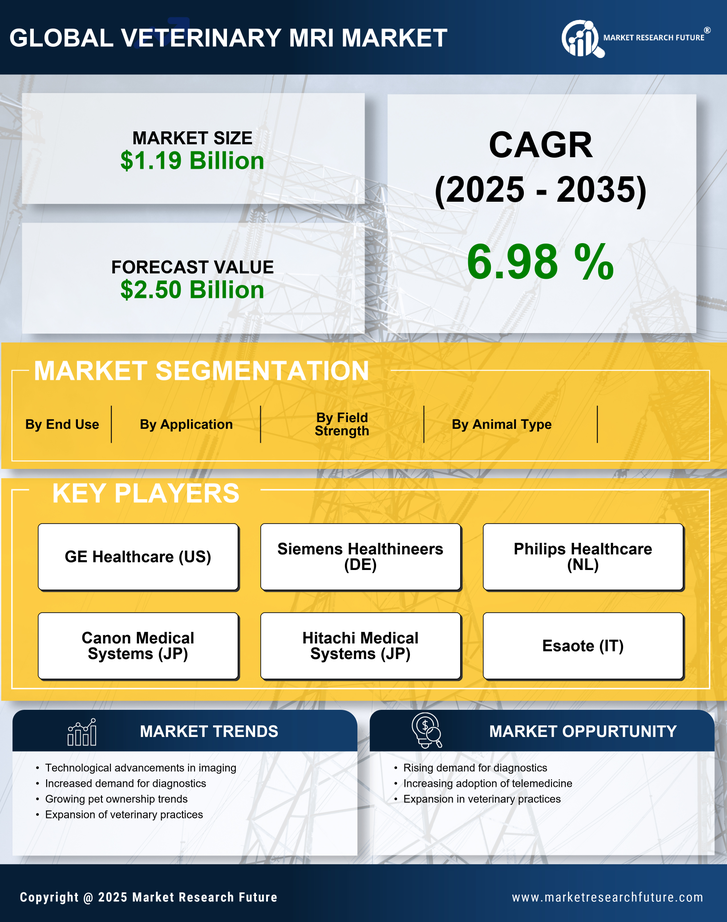 Veterinary MRI Market Size, Trends, Growth Outlook 2035 Infographic