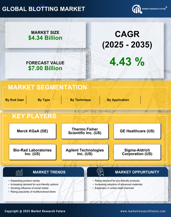 Blotting Market Research Report — Global Forecast till 2035 Infographic