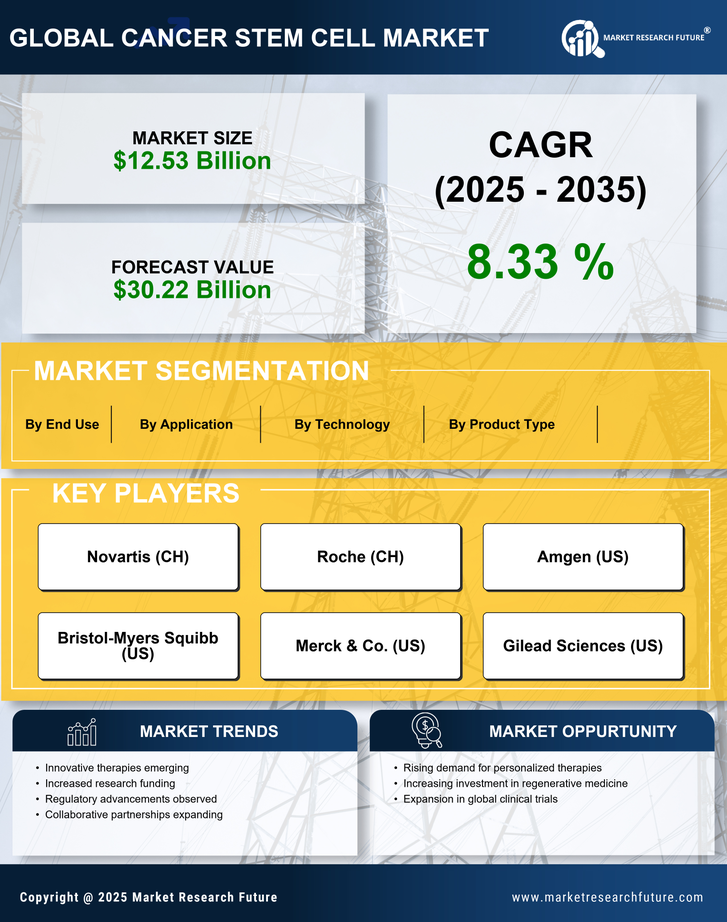 Cancer Stem Cell Market Research Report — Global Forecast till 2035 Infographic