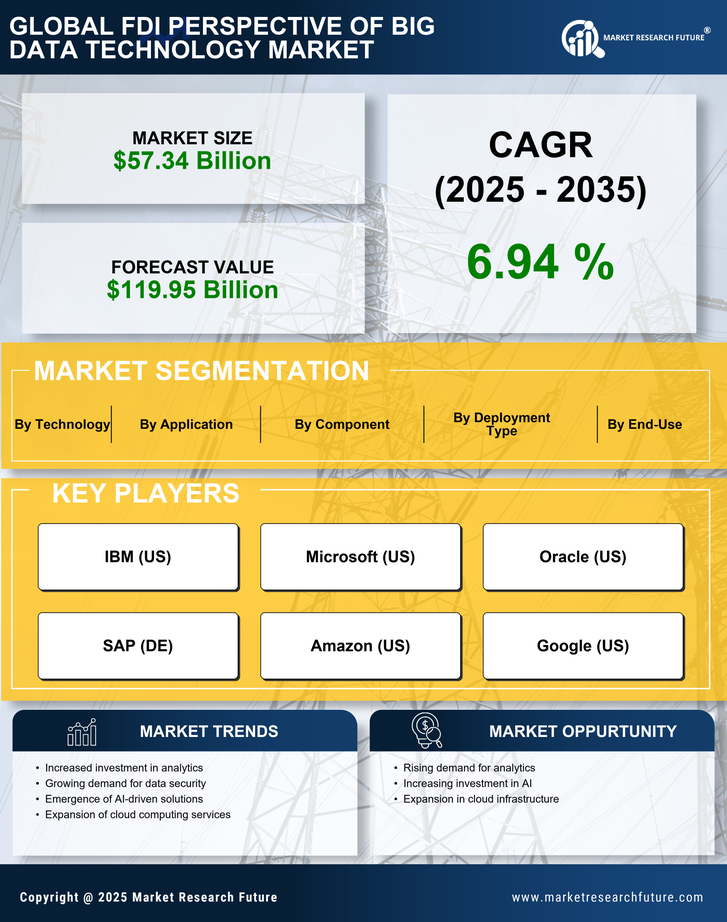 Fdi Perspective Of Big Data Technology Market Research Report - Forecast Till 2035 Infographic