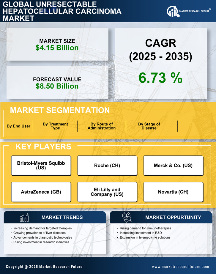 Unresectable Hepatocellular Carcinoma Market Research Report — Global Forecast till 2035 Infographic