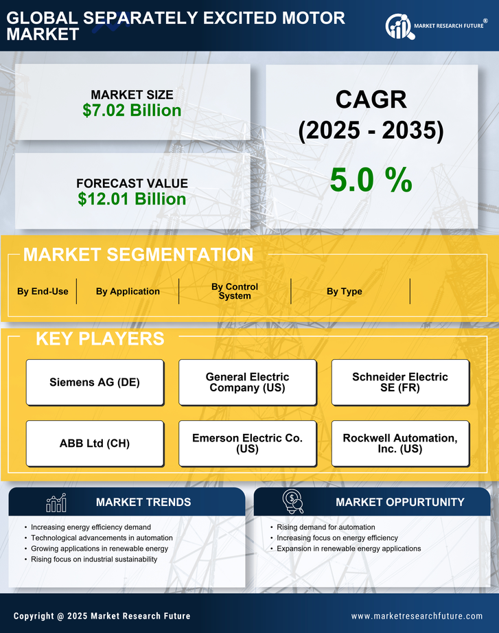 Separately Excited Motor Market Research Report-  Global Forecast till 2035 Infographic