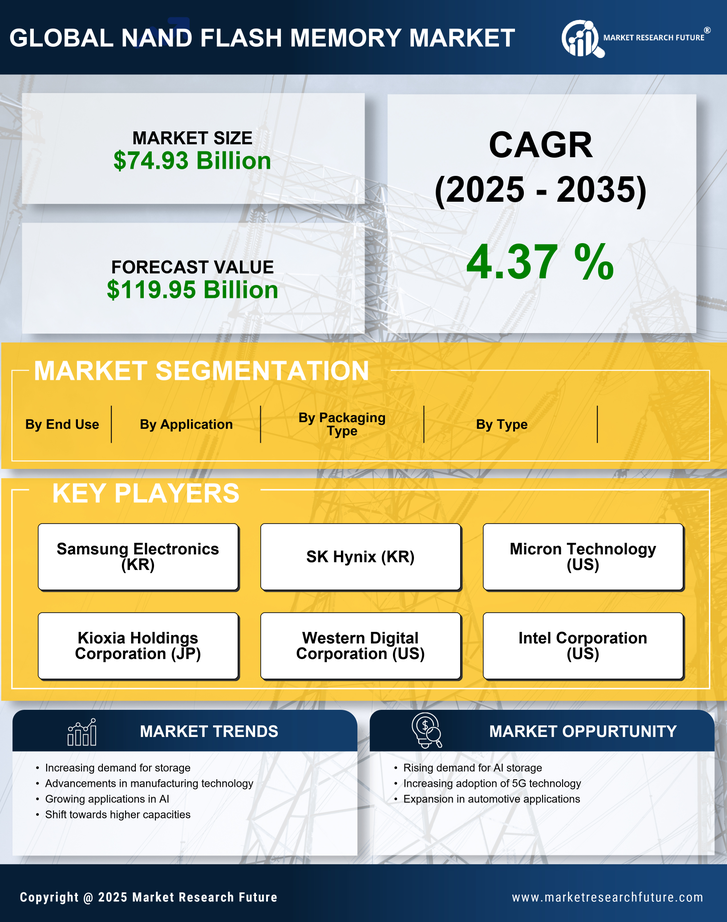 Nand Flash Memory Market Research Report- Global Forecast 2035 Infographic