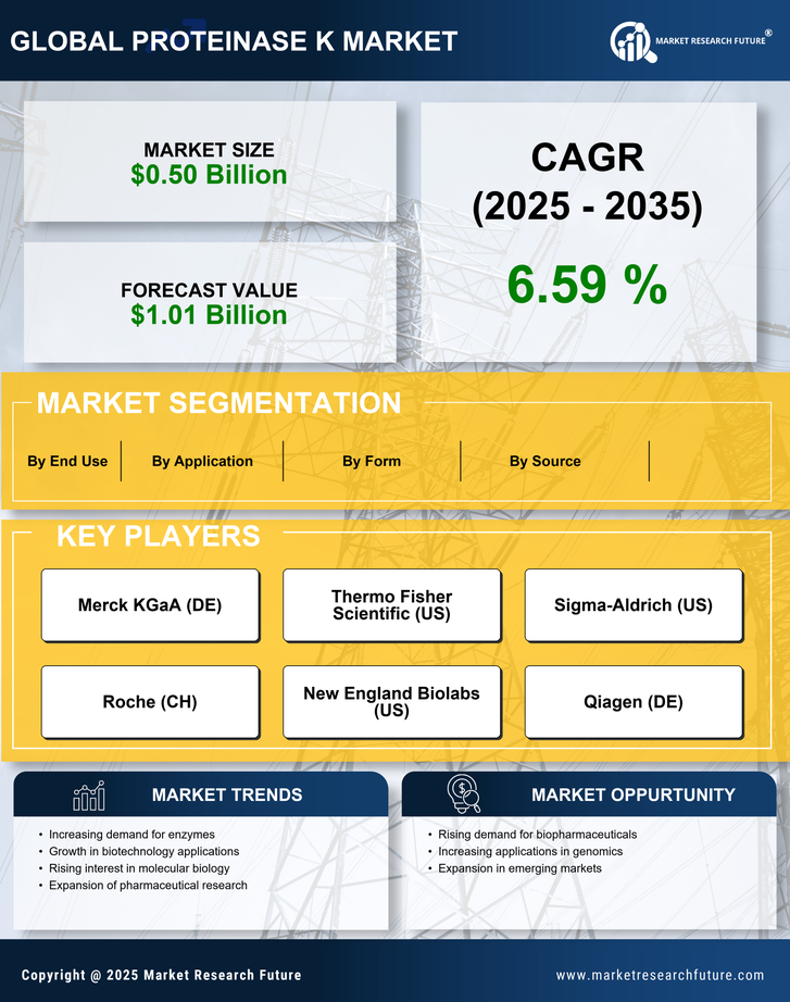 Proteinase K Market Research Report - Global Forecast till 2035 Infographic